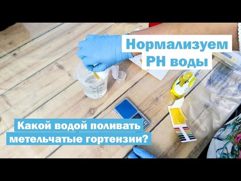 Видео: Как ЛЕГКО и НЕДОРОГО измерить и нормализовать PH воды для полива метельчатых гортензий