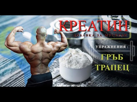 Видео: КРЕАТИН ! ГРЪБ И ТРАПЕЦ !