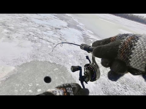 Видео: РУКИ ЗАТРЯСЛИСЬ! НАШЛИ ОГРОМНУЮ КОРЯГУ ПОД ЛУНКОЙ. Первый заброс и...