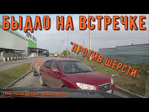 Видео: Быдло на встречке #147! Подборка на видеорегистратор!