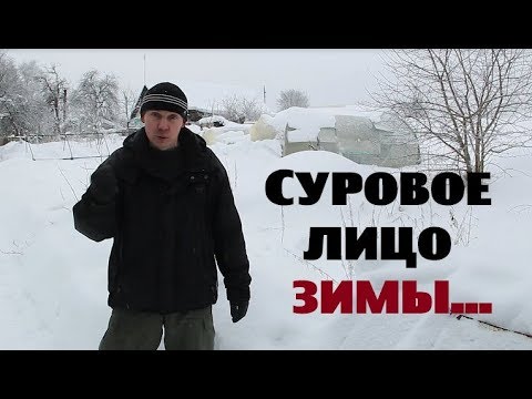 Видео: Суровое лицо зимы : проваленная теплица , морозы , болезнь .