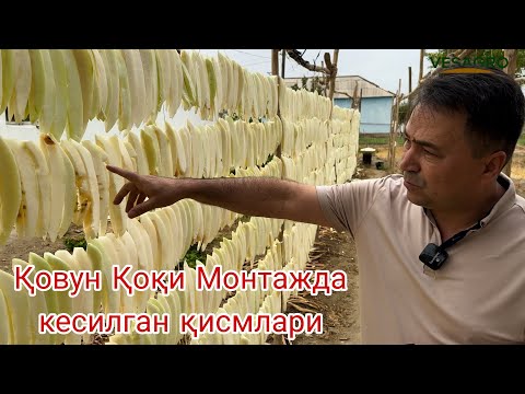 Видео: Қовун Қоқи тайёрлаш - Монтажда кесилган жойлари