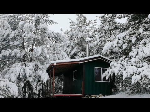 Видео: "Лесной Корпоратив"