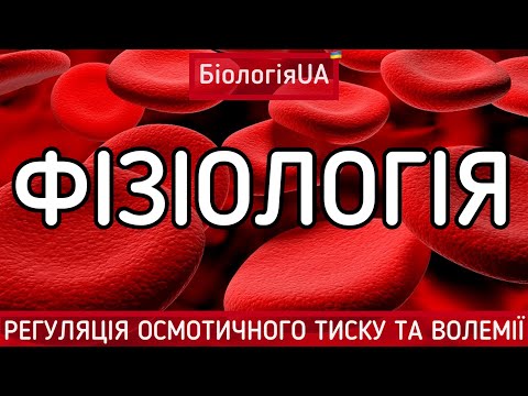 Видео: ФІЗІОЛОГІЯ / ЛЕКЦІЯ / КРОВ / 2