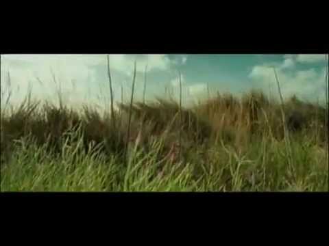 Видео: трое разных.flv