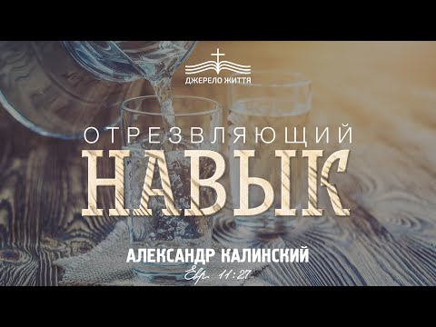 Видео: "Отрезвляющий навык" Александр Калинский