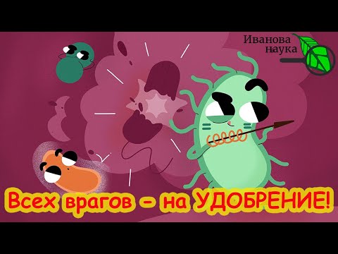 Видео: Все отходы превращаем в удобрение! Пользуйтесь этим средством и будете всегда с урожаем.