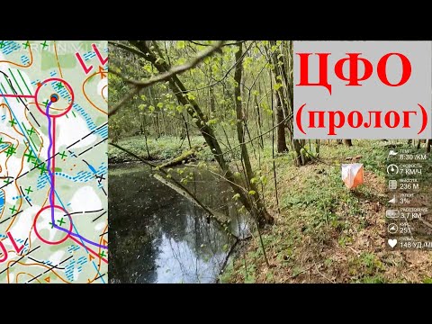 Видео: Спортивное ориентирование (headcam orienteering) - ЧиП ЦФО Смоленск, пролог - 26.04.2025