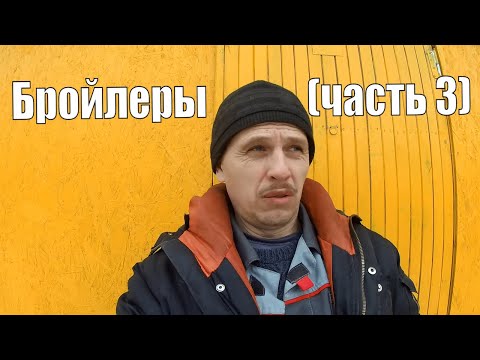 Видео: Бройлеры выращивание (часть 3)  Индюки и перепелки в хозяйстве на январь 2020