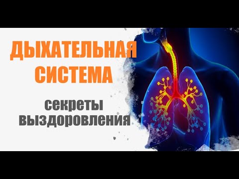 Видео: Секреты выздоровления. Дыхательная система