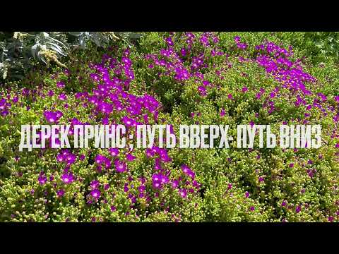 Видео: ПУТЬ ВВЕРХ - ПУТЬ ВНИЗ ; Дерек Принс ; Часть 1