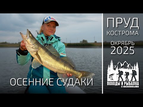Видео: Рыбалка на судака в октябре (7 10 2025)