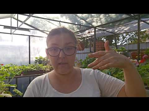 Видео: Увидели ребёнка одного на улице ?Ваши действия !Аутизм 