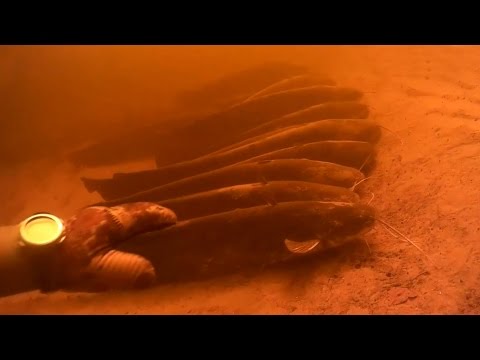 Видео: Подводная охота на Днепре в Черкассах 2017