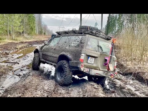 Видео: Nissan Patrol Y61 месит грязь по лесным просторам вместе с Pajero Sport  | Latvian Offroad