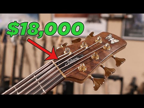 Видео: Стоят ли дорогие басы того?