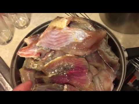 Видео: Таранька с карпа