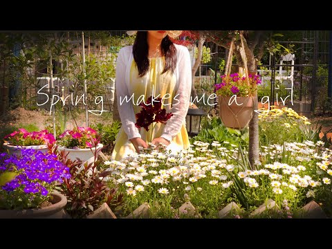 Видео: # 84. May GardenㅣВсе о милом цветке Маргарет!ㅣСоздание небольшой клумбы Маргарет