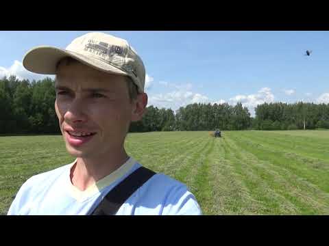 Видео: Сушка и валкование сена