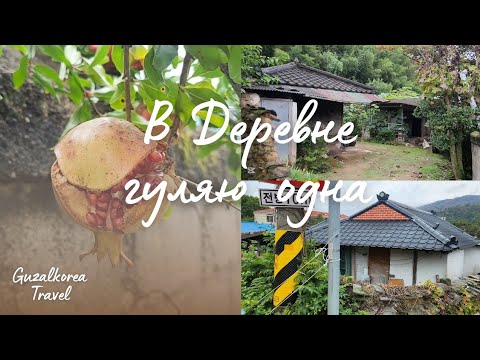 Видео: 6 октября в Корее чхусок 🌾✨️гуляю по деревне / #влог #корея #жизньвкорее #корея #деревня # 추석 #vlog