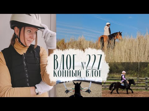 Видео: Конный влог. Чуть не упала, обновки, фотосессия. Влог №227