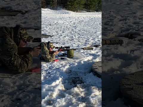 Видео: Горностай 223rem  (впо-193)