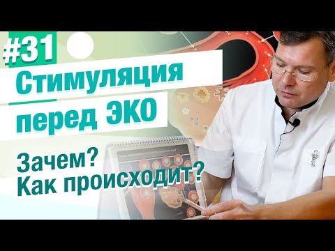 Видео: Гормональная стимуляция овуляции при ЭКО. Зачем нужна? Как происходит?