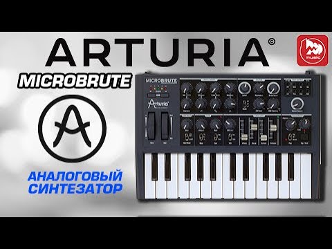 Видео: ARTURIA MICROBRUTE - аналоговый синтезатор по доступной цене