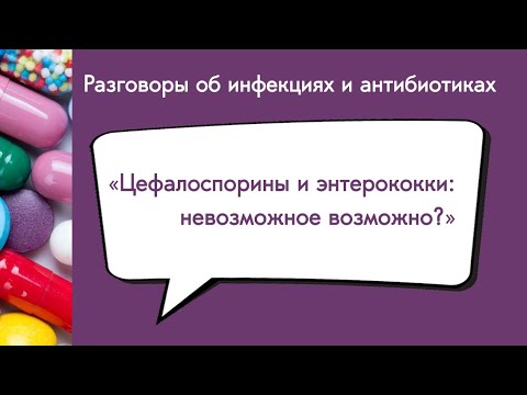 Видео: Цефалоспорины и энтерококки: невозможное возможно?