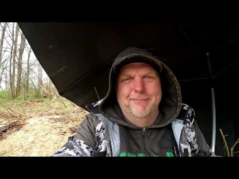 Видео: Быстрое течение и попловок, или о том что мечтать о ловле и ловить это разные вещи, отчёт Но170