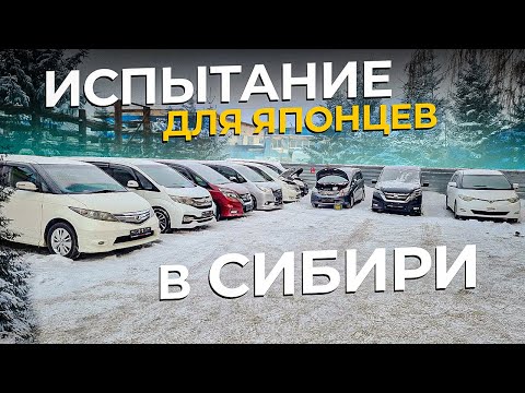 Видео: Холодный тест - прогреваем салон!! Автобусы в мороз!!!