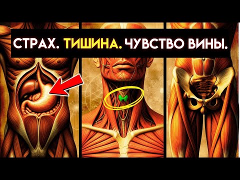 Видео: Ваше тело хранит травму, которая мешает вам жить так, как вы хотите