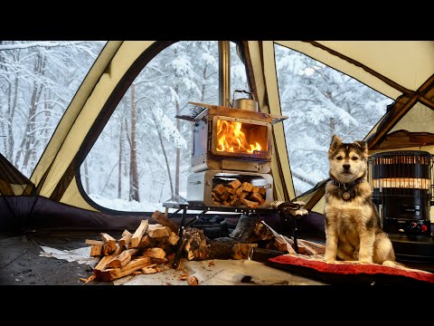 Видео: ❄️ СНЕЖНЫЙ КЕМПИНГ С ГОРЯЧЕЙ ПАЛАТКОЙ и МИЛОЙ СОБАКОЙ в СИЛЬНОМ СНЕГУ