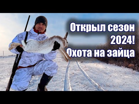 Видео: Открытие охоты 2024. Охота на зайца #охота #охотаназайца  #охота2024