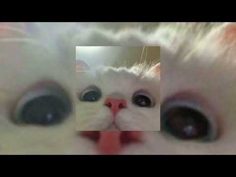 Видео: Стас Костюшкин - Женщина, я не танцую (s l o w e d)