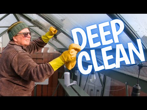 Видео: Основные советы по очистке и фумигации теплицы