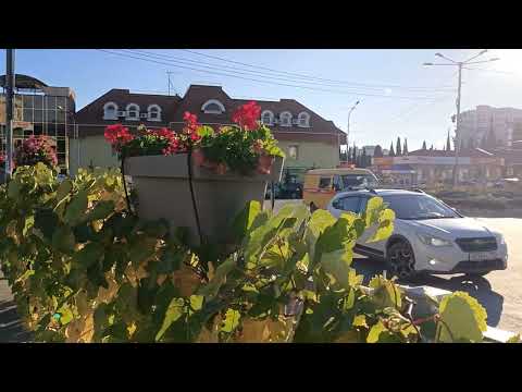 Видео: Алушта сегодня 2025/Площадь Советская. Фонтан. Черёмушки. 🏢⛲/29.102025