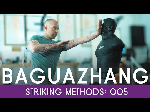 Видео: Ударный метод багуачжан №5 | Феникс расчищает путь