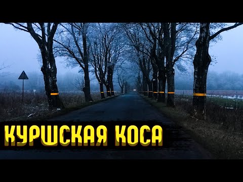 Видео: Окоченели на Куршской косе. Лютый холод Балтики