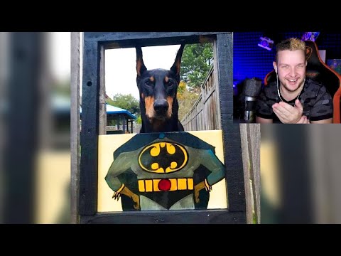 Видео: ТЕСТ НА ПСИХИКУ | ПОПРОБУЙ НЕ ЗАСМЕЯТЬСЯ | ПОЛУЧИТСЯ?