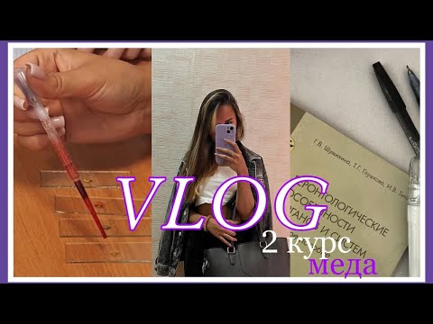 Видео: VLOG: 2 курс меда/мой день/ Микра, Философия 🩺🧬❤️