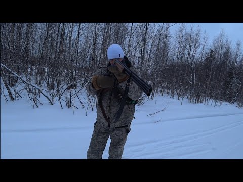 Видео: ОХОТА ВОЗЛЕ ДЕРЕВНИ В НЕПОГОДУ / КОМИ РЕСПУБЛИКА.