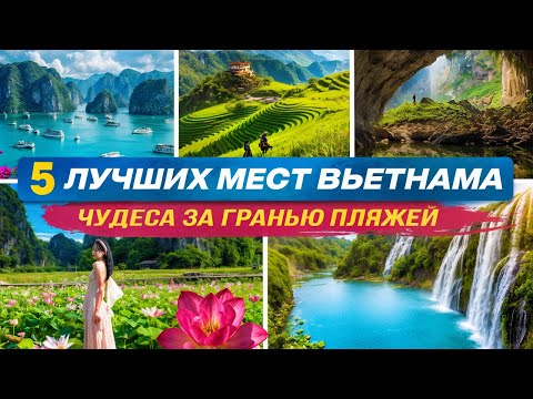 Видео: ТОП 5 Лучших Мест Вьетнама: Которые нужно посетить!