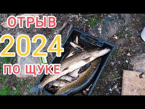 Видео: ЖОР ЩУКИ. РЫБАЛКА В КАРЕЛИИ|СЕКРЕТЫ БЕШЕНОГО КЛЕВА