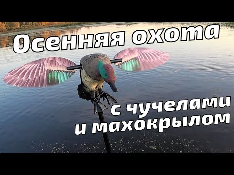 Видео: Осенняя охота на уток с МАХОКРЫЛАМИ и чучелами. СЕКРЕТЫ правильной расстановки