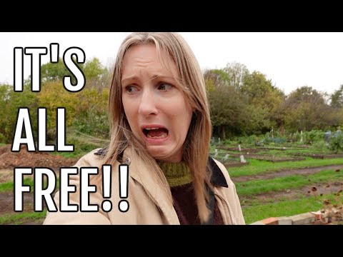 Видео: Я ПОЛУЧИЛ ВСЕ ЭТО БЕСПЛАТНО! / САДОВОДСТВО НА ДАЧНЫХ УЧАСТКАХ ВЕЛИКОБРИТАНИИ
