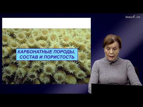Видео: Копаевич Л.Ф. - Секвентная  стратиграфия - 7. Седиментационные системы карбонатного осадконакопления