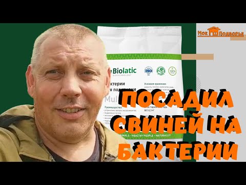 Видео: Содержание ДЮРКОВ: глубокая подстилка. "Мое Подворье"