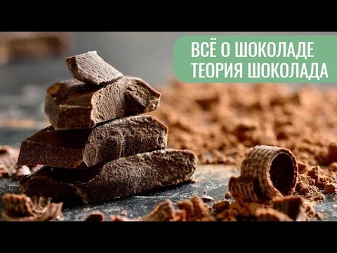 Видео: Всё о шоколаде: теория для начинающих кондитеров