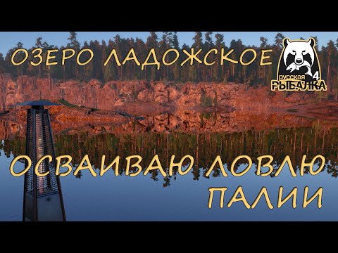 Видео: Русская рыбалка 4. Озеро Ладожское. Фарм. Спиннинг. Джиг. Техасская оснастка.